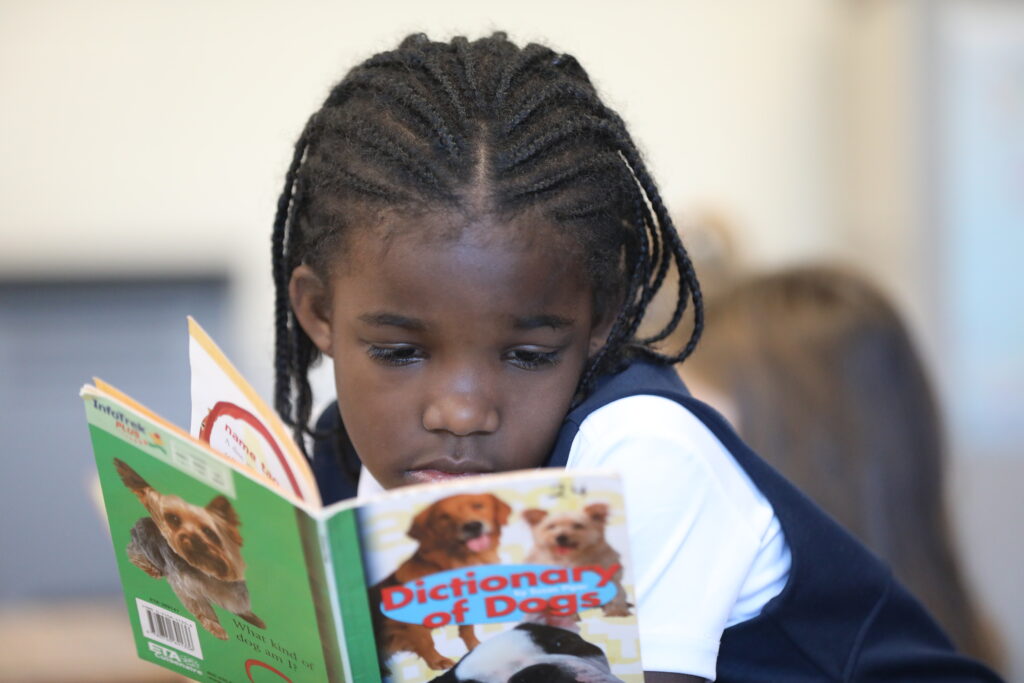Grade 2 student reading intently